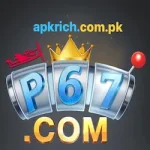 P67 Game Download