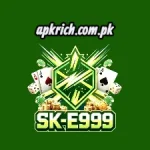 SK-E999 Game